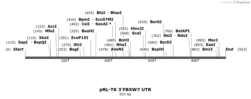 32865_map
