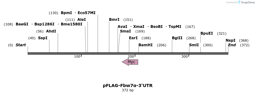 32868_map