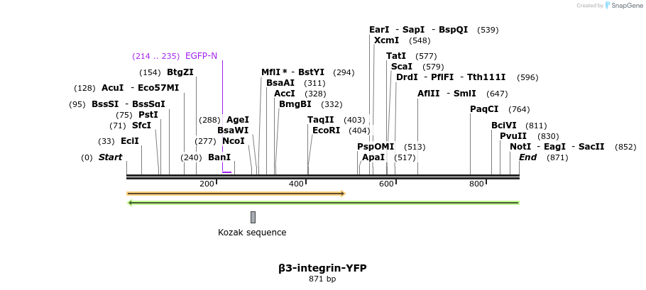 32873_map