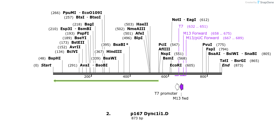 32876_map