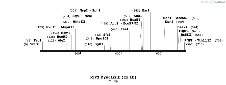 32879_map
