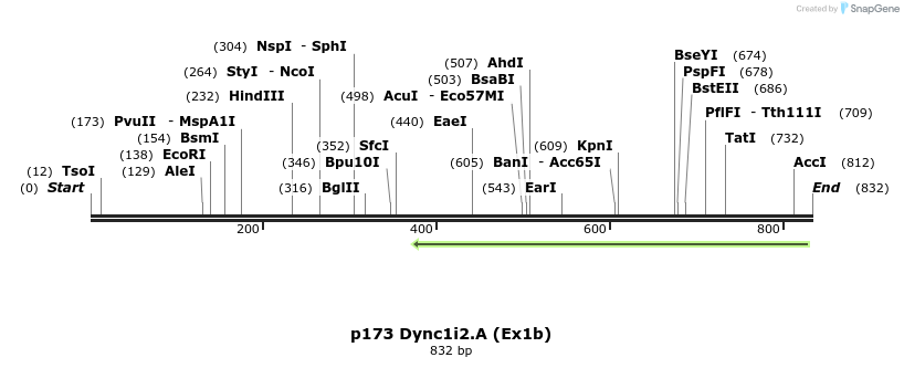 32880_map