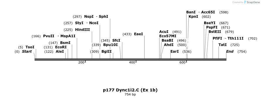 32882_map