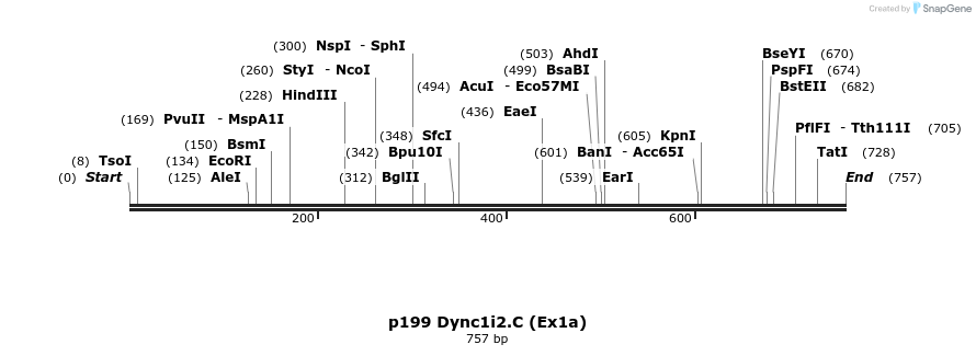 32886_map