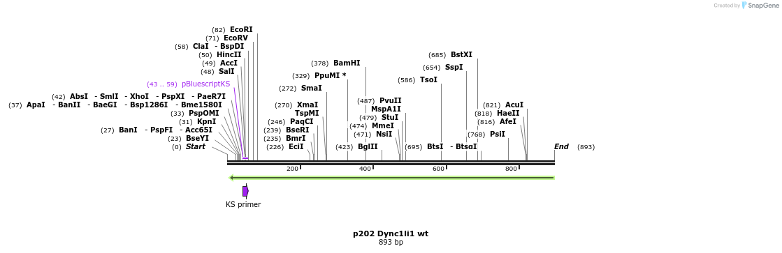 32887_map