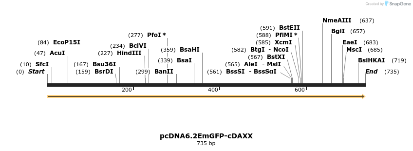 328870_map