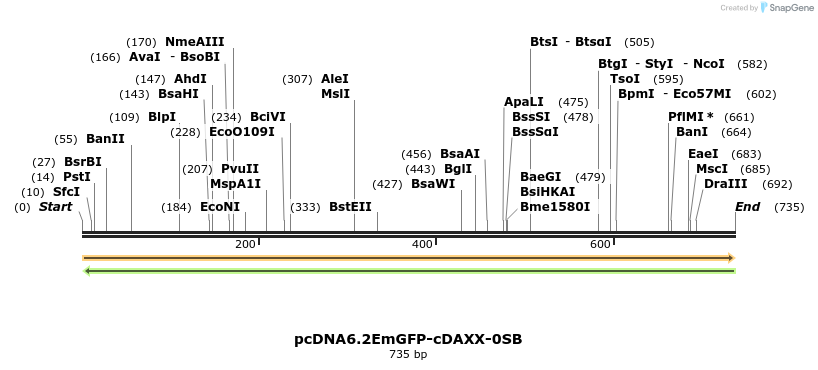 328871_map