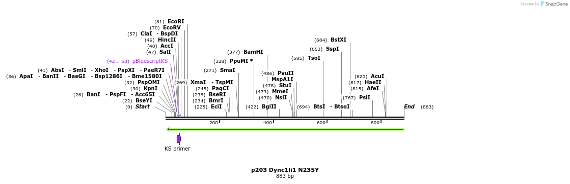 32889_map