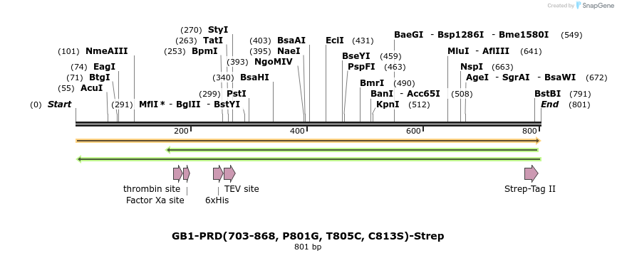 328937_map