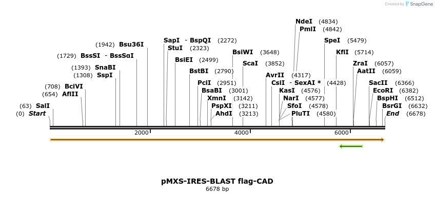 328996_map