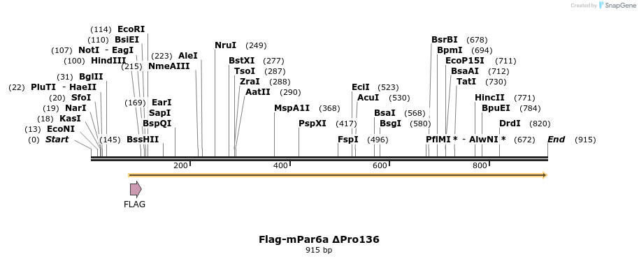 32907_map
