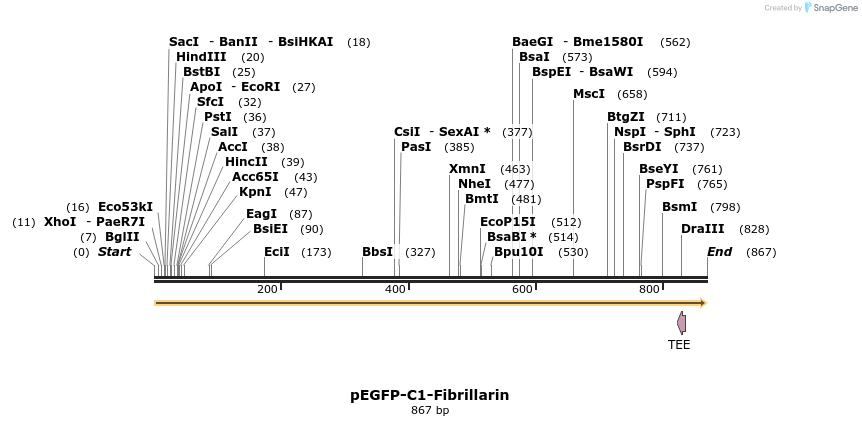 32910_map