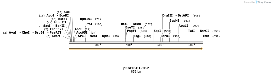 32911_map