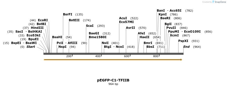 32912_map