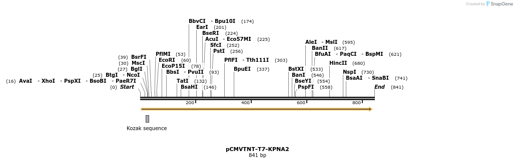 32915_map