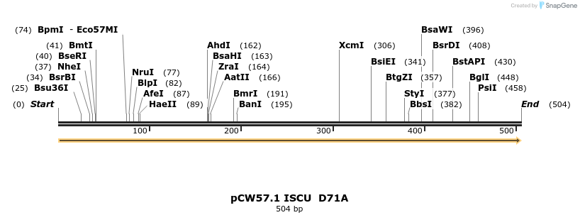 329151_map