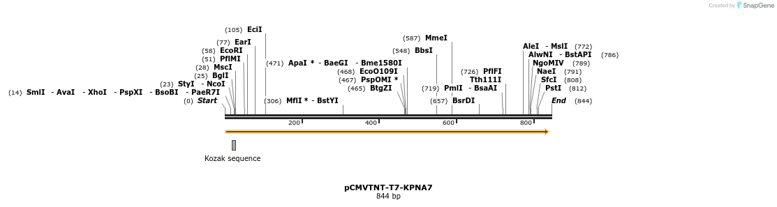 32920_map