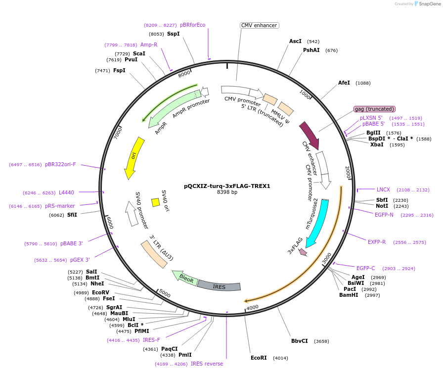 329201_map