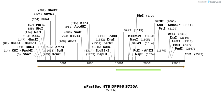 329271_map