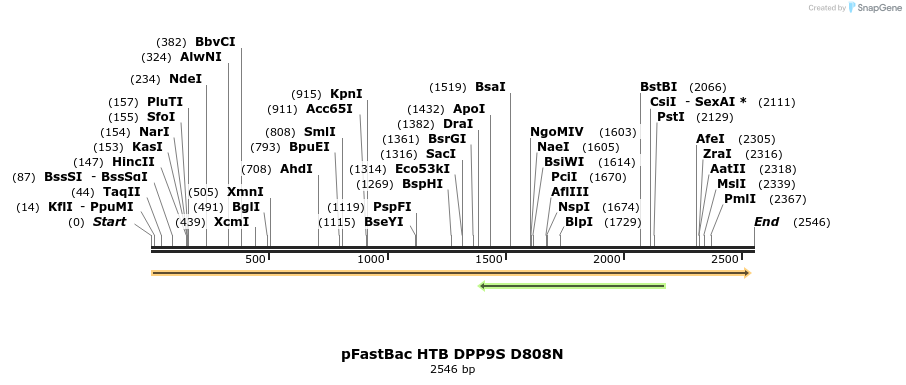 329272_map