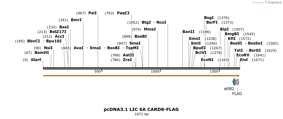 329273_map