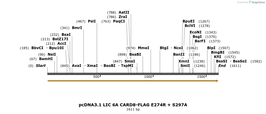 329276_map