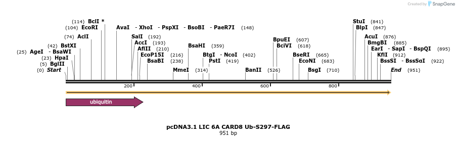 329283_map