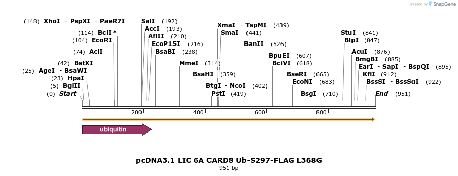 329284_map