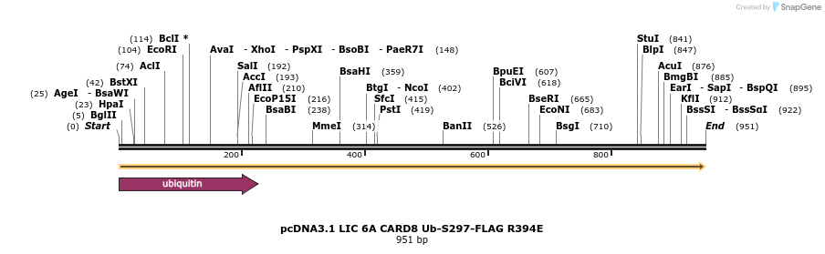 329286_map
