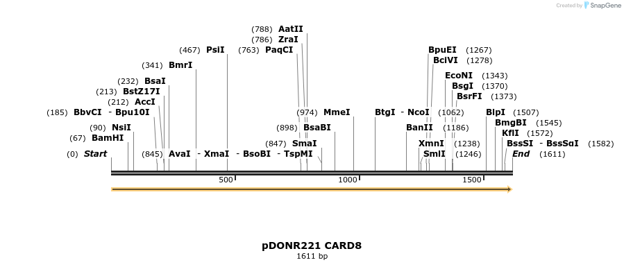 329287_map
