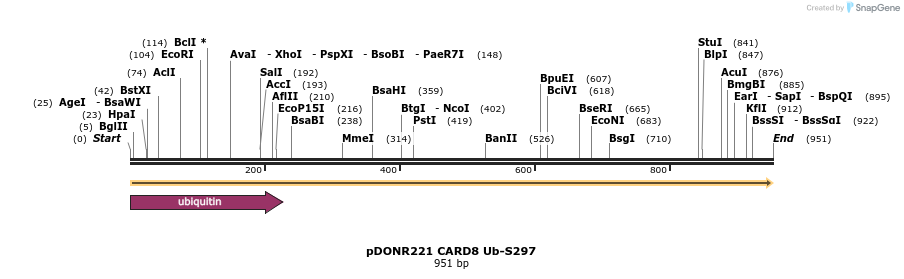 329290_map