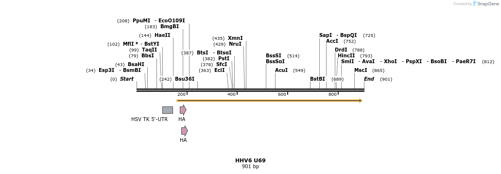 32930_map