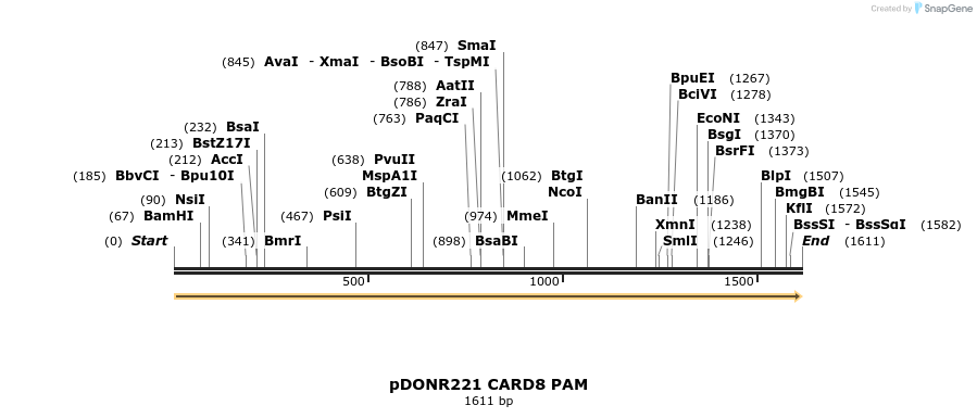 329300_map