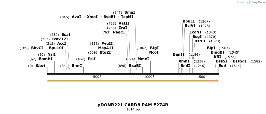 329302_map