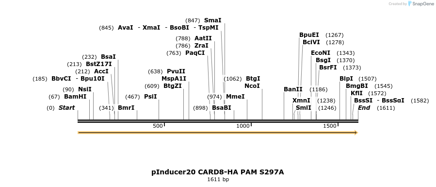 329308_map