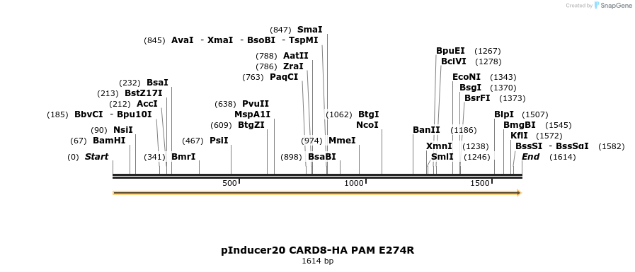 329309_map