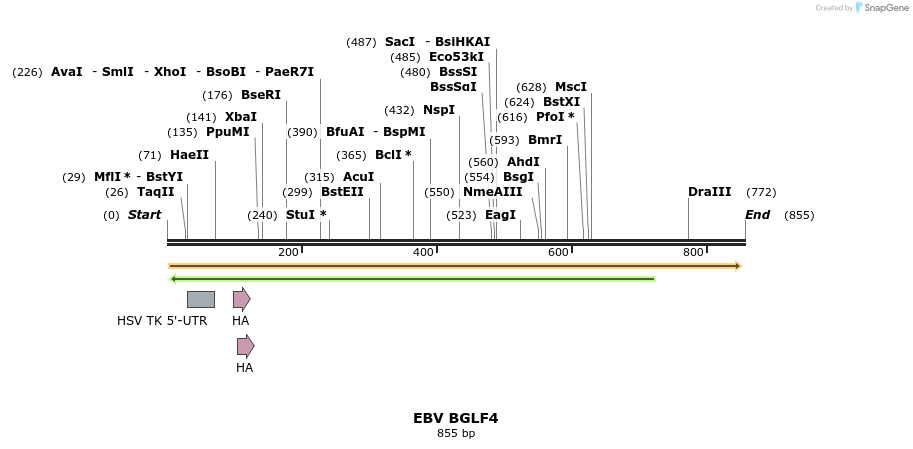 32932_map