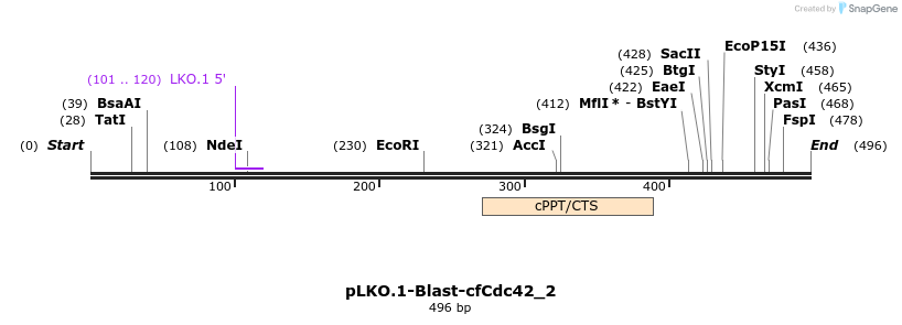 32944_map