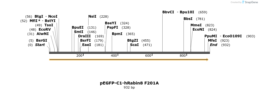 32962_map