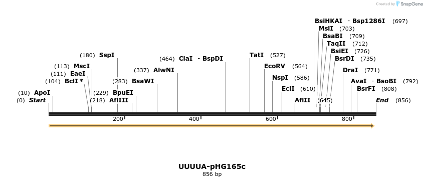 329669_map
