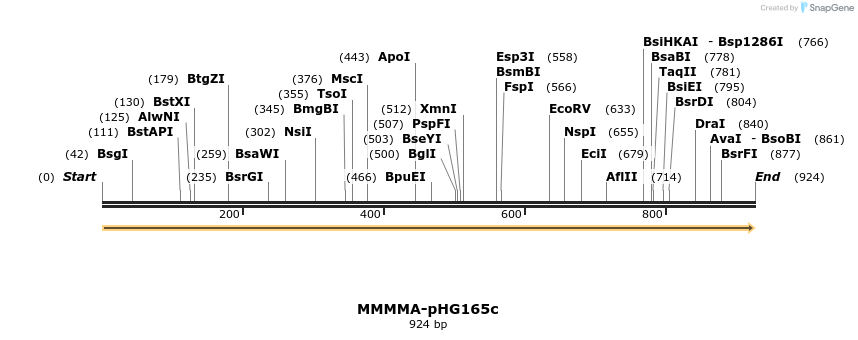 329671_map