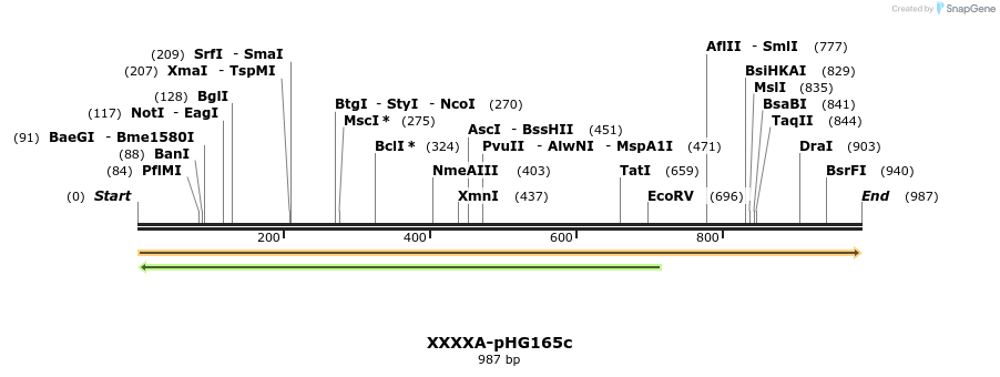 329675_map