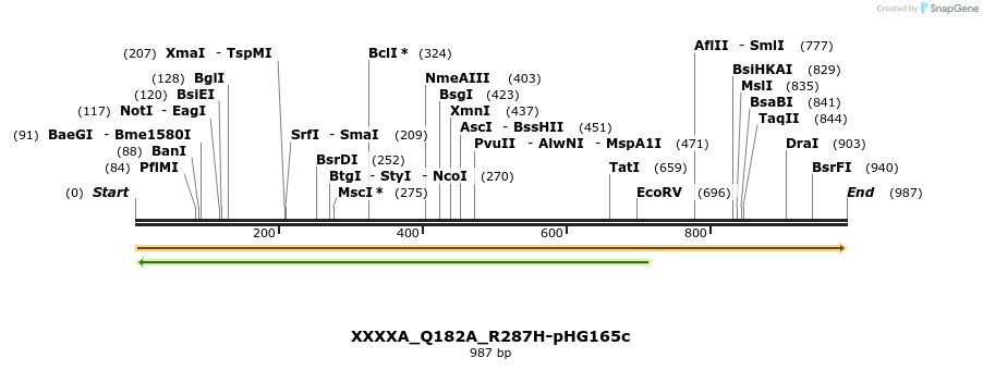 329677_map