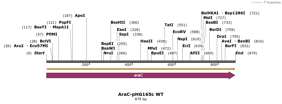 329682_map
