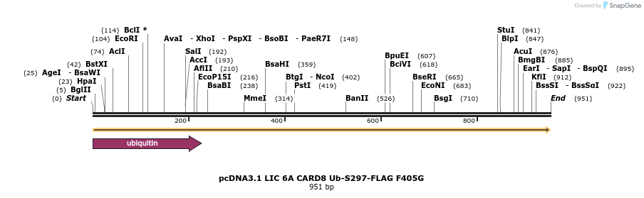 329727_map