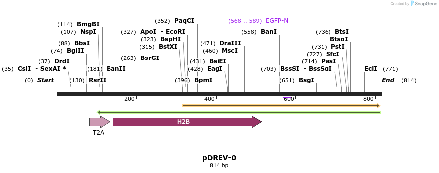 32977_map