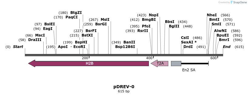 32978_map