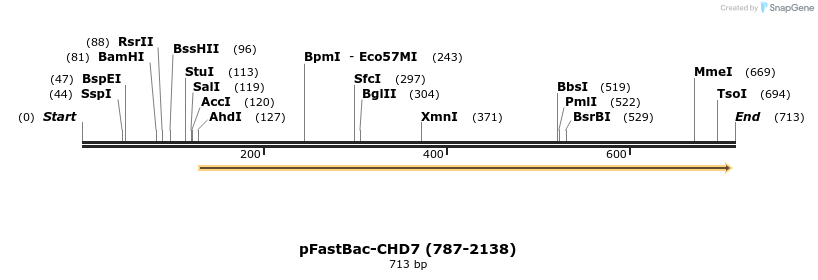 329780_map