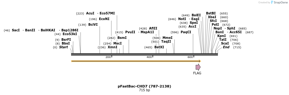 329781_map