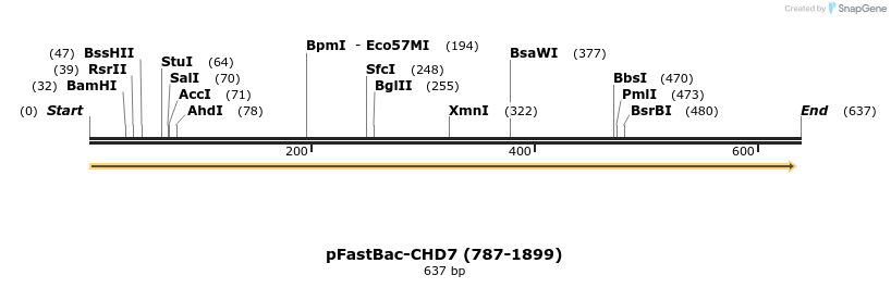 329782_map